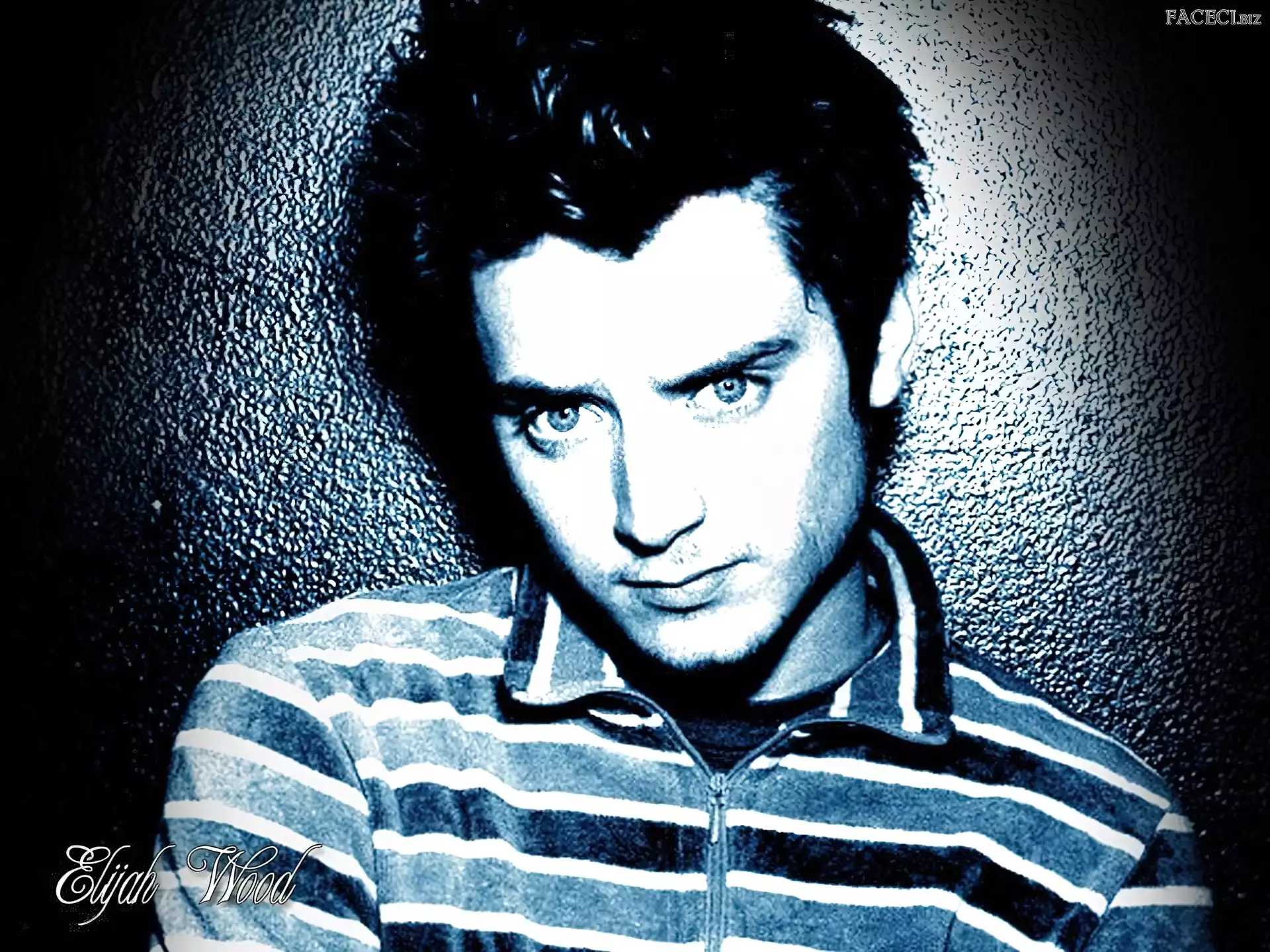 bluza, Elijah Wood, ciemne włosy