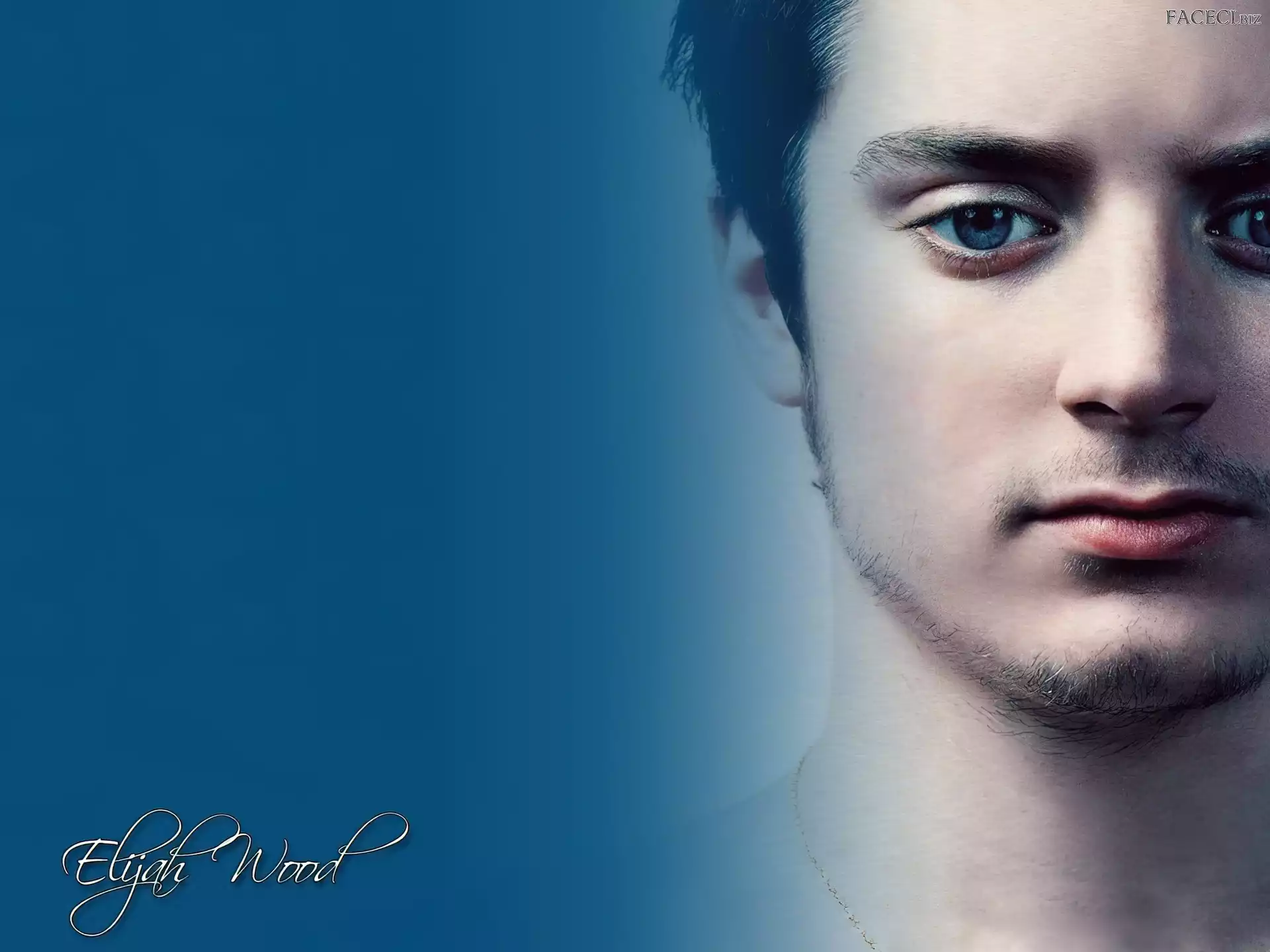 bródka, Elijah Wood, niebieskie oczy