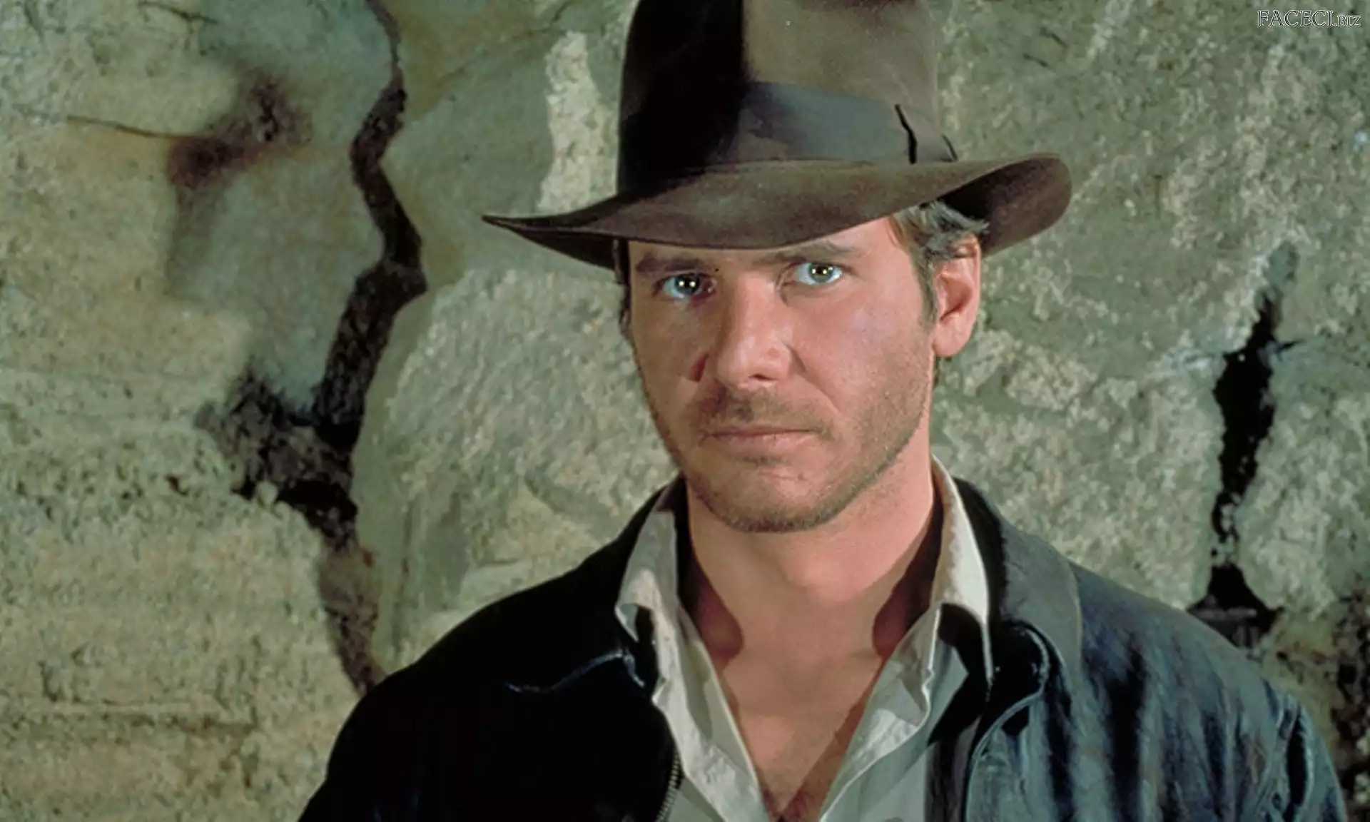 Aktor, Harrison Ford