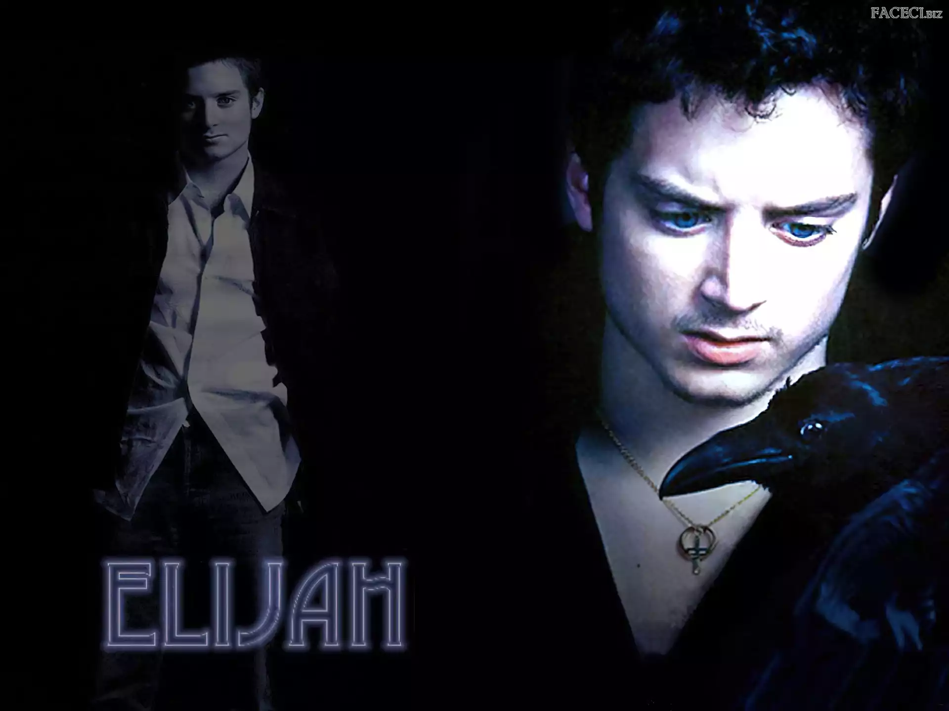 kruk, Elijah Wood, niebieskie oczy